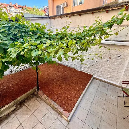 The Grape Escape Studio In Center Sofia